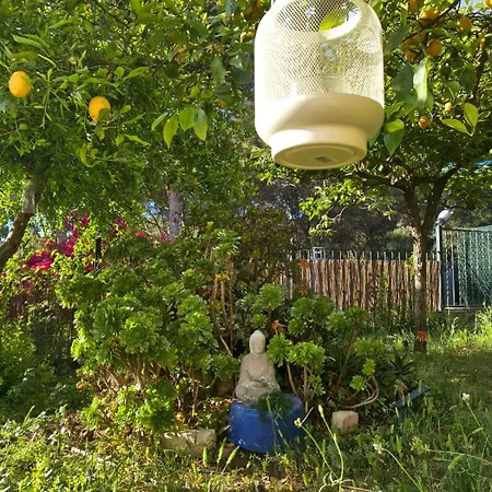 Eco- Refugio Centenario דירה סגונטו