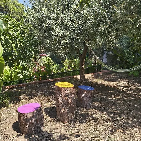 Διαμέρισμα Eco- Refugio Centenario *