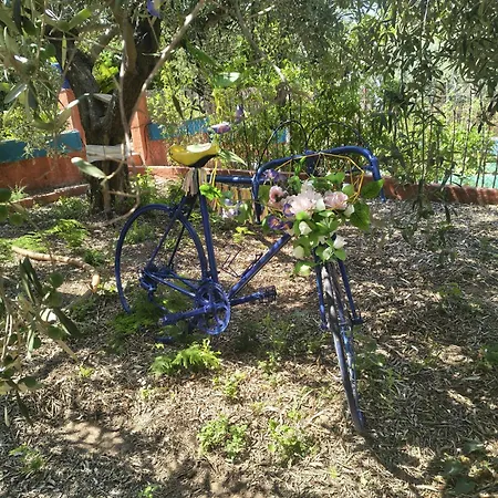 Eco- Refugio Centenario Διαμέρισμα